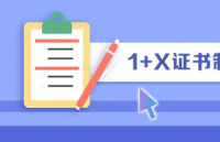 1+X职业证书制度